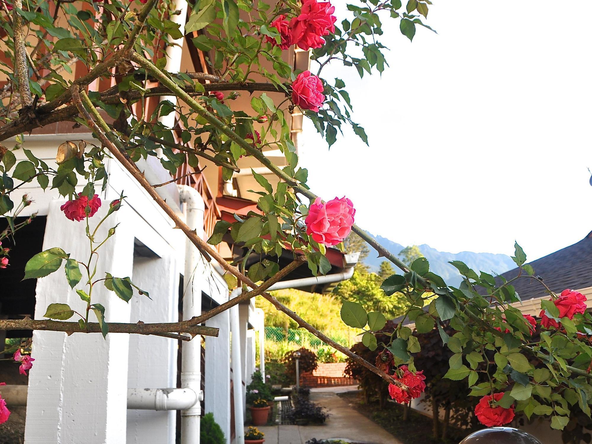 Nabalu Kundasang Lodge Exterior photo